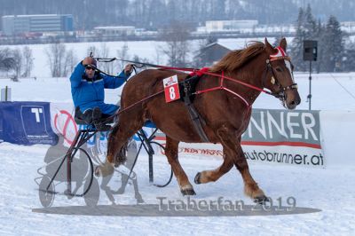 20190127_r08_052_R08_0079.jpg