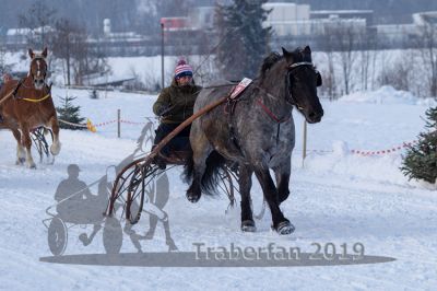 20190127_r08_057_R08_0085.jpg