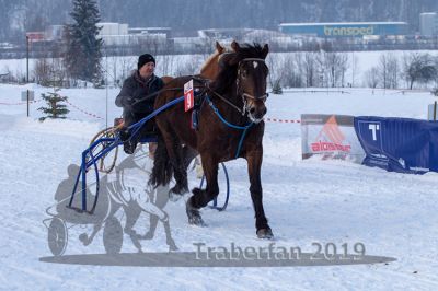 20190127_r08_061_R08_0095.jpg