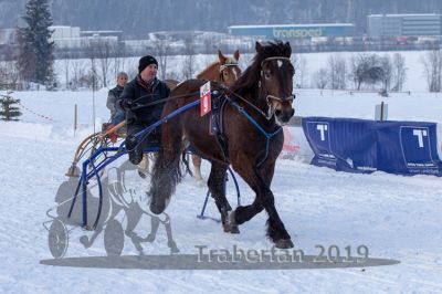 20190127_r08_062_R08_0097.jpg