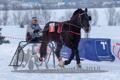 20190127_r08_068_R08_0110.jpg