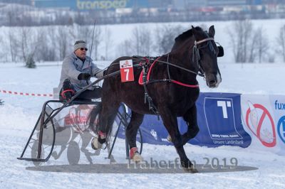 20190127_r08_069_R08_0111.jpg
