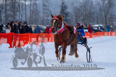 20190127_r08_078_R08_0046.jpg