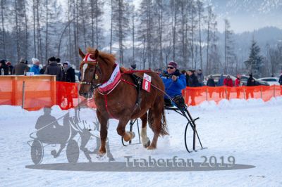 20190127_r08_080_R08_0049.jpg