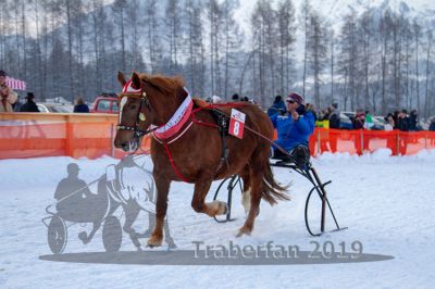20190127_r08_081_R08_0050.jpg