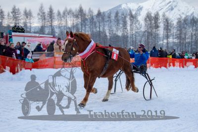 20190127_r08_082_R08_0052.jpg