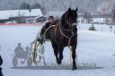 Dateiname=20190127_r08_015_R08_0014.jpg
Dateigröße=172KB
Abmessungen: 750x500
hinzugefügt am: 29. Januar 2019 20190127_r08_015_R08_0014.jpg