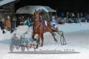 Dateiname=20190208_r08_033_R08_0032.jpg
Dateigröße=100KB
Abmessungen: 750x500
hinzugefügt am: 09. Februar 2019 20190208_r08_033_R08_0032.jpg