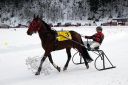 Dateiname=100CANON_IMG_0036.jpg
Dateigröße=109KB
Abmessungen: 750x500
hinzugefügt am: 10. Februar 2019 100CANON_IMG_0036.jpg