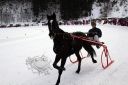 Dateiname=101CANON_IMG_0001.jpg
Dateigröße=110KB
Abmessungen: 750x500
hinzugefügt am: 10. Februar 2019 101CANON_IMG_0001.jpg
