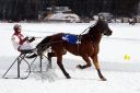 Dateiname=101CANON_IMG_0046.jpg
Dateigröße=91KB
Abmessungen: 750x500
hinzugefügt am: 10. Februar 2019 101CANON_IMG_0046.jpg