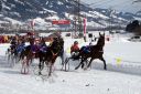 Dateiname=101CANON_IMG_0061.jpg
Dateigröße=144KB
Abmessungen: 750x500
hinzugefügt am: 10. Februar 2019 101CANON_IMG_0061.jpg