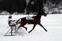 Dateiname=102CANON_IMG_0013.jpg
Dateigröße=100KB
Abmessungen: 750x500
hinzugefügt am: 10. Februar 2019 102CANON_IMG_0013.jpg