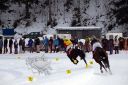 Dateiname=103CANON_IMG_0084.jpg
Dateigröße=119KB
Abmessungen: 750x500
hinzugefügt am: 10. Februar 2019 103CANON_IMG_0084.jpg