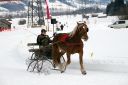 Dateiname=105CANON_IMG_0017.jpg
Dateigröße=94KB
Abmessungen: 750x500
hinzugefügt am: 10. Februar 2019 105CANON_IMG_0017.jpg