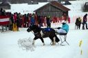 Dateiname=105CANON_IMG_0060.jpg
Dateigröße=101KB
Abmessungen: 750x500
hinzugefügt am: 10. Februar 2019 105CANON_IMG_0060.jpg