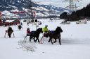 Dateiname=105CANON_IMG_0099.jpg
Dateigröße=114KB
Abmessungen: 750x500
hinzugefügt am: 10. Februar 2019 105CANON_IMG_0099.jpg