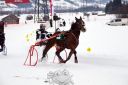 Dateiname=105CANON_IMG_0229.jpg
Dateigröße=93KB
Abmessungen: 750x500
hinzugefügt am: 10. Februar 2019 105CANON_IMG_0229.jpg