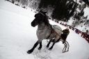 Dateiname=105CANON_IMG_0251.jpg
Dateigröße=95KB
Abmessungen: 750x500
hinzugefügt am: 10. Februar 2019 105CANON_IMG_0251.jpg