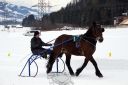 Dateiname=105CANON_IMG_0256.jpg
Dateigröße=93KB
Abmessungen: 750x500
hinzugefügt am: 10. Februar 2019 105CANON_IMG_0256.jpg