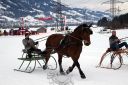 Dateiname=105CANON_IMG_0278.jpg
Dateigröße=119KB
Abmessungen: 750x500
hinzugefügt am: 10. Februar 2019 105CANON_IMG_0278.jpg