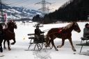 Dateiname=105CANON_IMG_0324.jpg
Dateigröße=109KB
Abmessungen: 750x500
hinzugefügt am: 10. Februar 2019 105CANON_IMG_0324.jpg