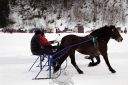 Dateiname=105CANON_IMG_0358.jpg
Dateigröße=102KB
Abmessungen: 750x500
hinzugefügt am: 10. Februar 2019 105CANON_IMG_0358.jpg