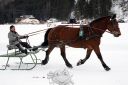 Dateiname=105CANON_IMG_0388.jpg
Dateigröße=95KB
Abmessungen: 750x500
hinzugefügt am: 10. Februar 2019 105CANON_IMG_0388.jpg