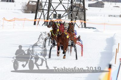 20190210_r01_032_R01_0063.jpg