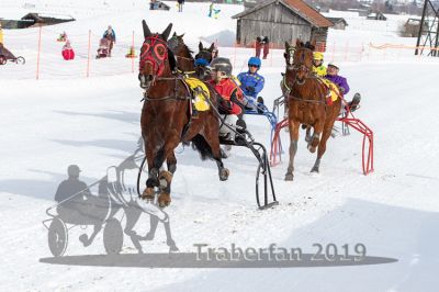 20190210_r01_040_R01_0078.jpg