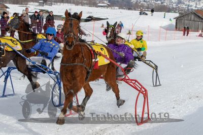 20190210_r01_044_R01_0086.jpg