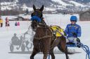Dateiname=20190210_r01_014_R01_0024.jpg
Dateigröße=187KB
Abmessungen: 750x500
hinzugefügt am: 11. Februar 2019 20190210_r01_014_R01_0024.jpg
