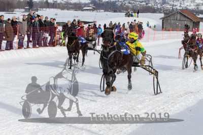 20190210_r02_097_R02_0162.jpg
