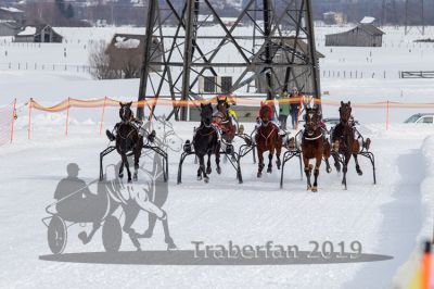 20190210_r03_069_R03_0119.jpg