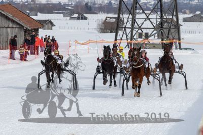 20190210_r03_079_R03_0132.jpg