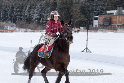 20190210_r04_010_R04_0008.jpg