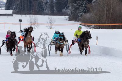 20190210_r06_041_R06_0064.jpg