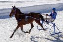 Dateiname=20190217_ja2_005_IMG_0017.jpg
Dateigröße=136KB
Abmessungen: 750x500
hinzugefügt am: 18. Februar 2019 20190217_ja2_005_IMG_0017.jpg