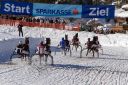 Dateiname=20190217_ja5_032_IMG_0130.jpg
Dateigröße=163KB
Abmessungen: 750x500
hinzugefügt am: 18. Februar 2019 20190217_ja5_032_IMG_0130.jpg