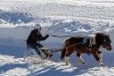 Dateiname=20190217_ja6_022_IMG_0065.jpg
Dateigröße=140KB
Abmessungen: 750x500
hinzugefügt am: 18. Februar 2019 20190217_ja6_022_IMG_0065.jpg
