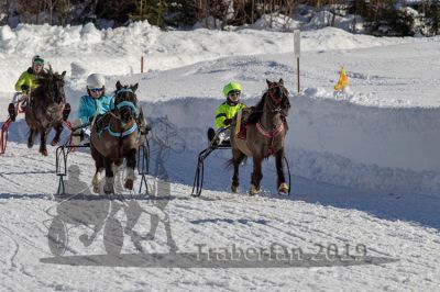20190217_r03_034_R03_0054.jpg