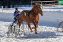 Dateiname=20190217_r07_062_R07_0095.jpg
Dateigröße=416KB
Abmessungen: 750x500
hinzugefügt am: 19. Februar 2019 20190217_r07_062_R07_0095.jpg