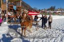 Dateiname=20190217_r07_078_R07_0042.jpg
Dateigröße=496KB
Abmessungen: 750x500
hinzugefügt am: 19. Februar 2019 20190217_r07_078_R07_0042.jpg