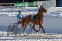 Dateiname=20190217_r08_009_R08_0008.jpg
Dateigröße=414KB
Abmessungen: 750x500
hinzugefügt am: 19. Februar 2019 20190217_r08_009_R08_0008.jpg