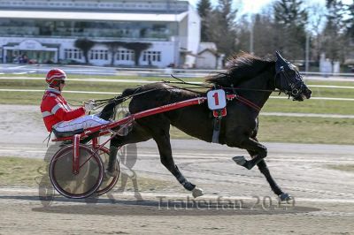 20190317_pqw1_050_QU1_0087.jpg