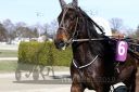 Dateiname=20190317_r02_020_R01_0174.jpg
Dateigröße=97KB
Abmessungen: 750x500
hinzugefügt am: 18. März 2019 20190317_r02_020_R01_0174.jpg