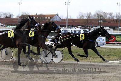 20190317_r06_103_R06_0227.jpg