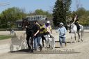 Dateiname=20190422_r07_085_R07_0004.jpg
Dateigröße=461KB
Abmessungen: 750x500
hinzugefügt am: 23. April 2019 20190422_r07_085_R07_0004.jpg