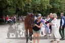 Dateiname=20190815_r03_082_R03_0054.jpg
Dateigröße=161KB
Abmessungen: 750x500
hinzugefügt am: 17. August 2019 20190815_r03_082_R03_0054.jpg