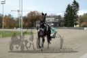Dateiname=20191020_r10_077_R10_0004.jpg
Dateigröße=189KB
Abmessungen: 750x500
hinzugefügt am: 22. Oktober 2019 20191020_r10_077_R10_0004.jpg